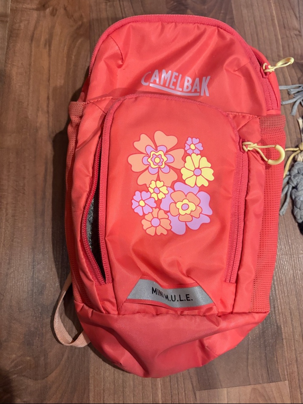 Camelbak Mini Mule Kids Hydration Backpack *NO RESERVOIR*